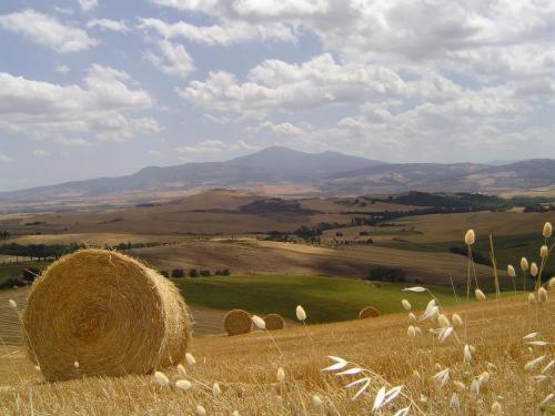 Agriturismo Il Colombaiolo Villa Pienza Exterior foto