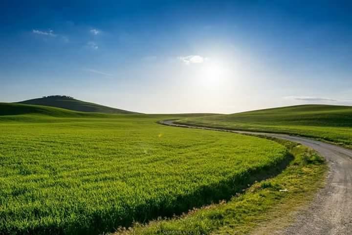 Agriturismo Il Colombaiolo Villa Pienza Exterior foto